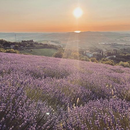 L'Infinito Bed and Breakfast Mombaroccio Εξωτερικό φωτογραφία