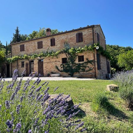 L'Infinito Bed and Breakfast Mombaroccio Εξωτερικό φωτογραφία