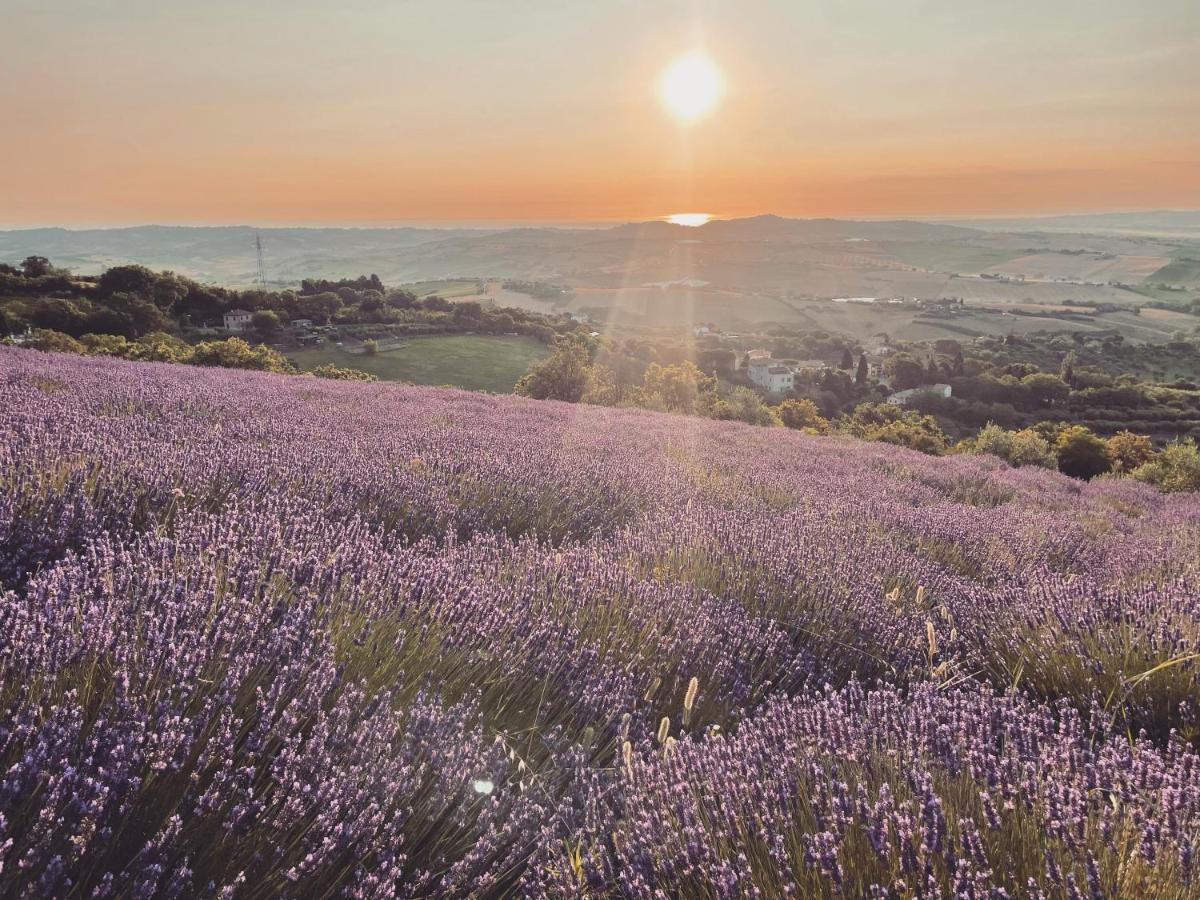 L'Infinito Bed and Breakfast Mombaroccio Εξωτερικό φωτογραφία