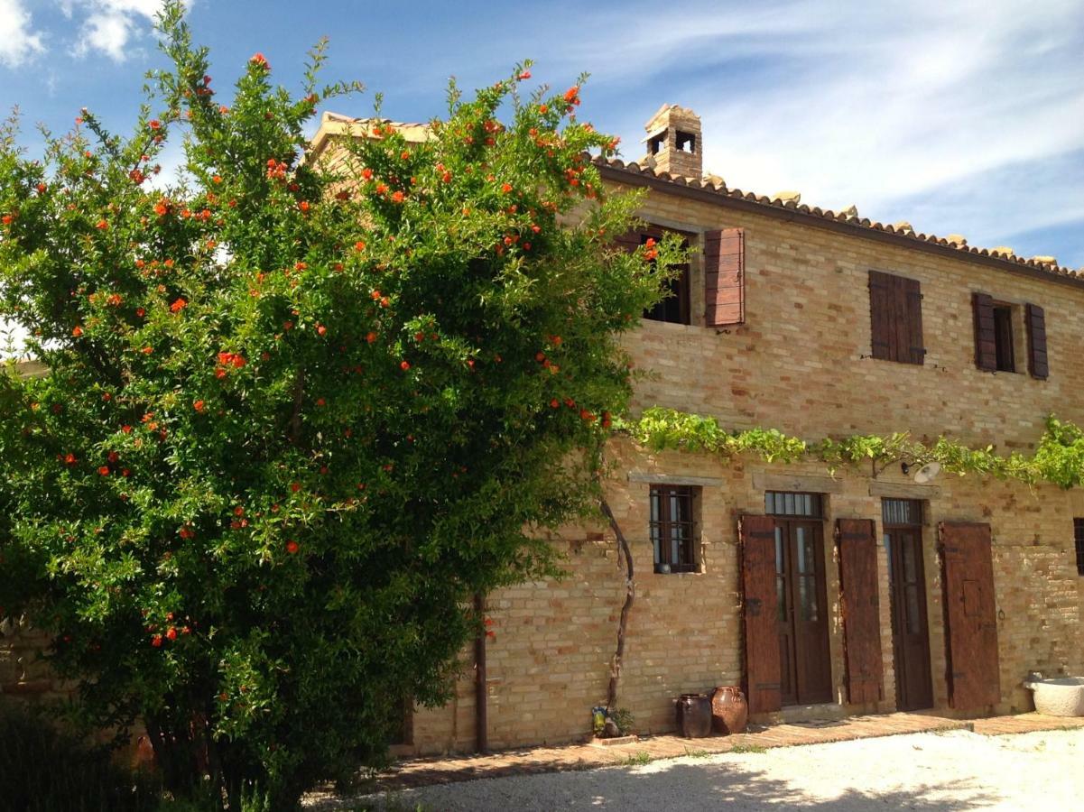 L'Infinito Bed and Breakfast Mombaroccio Εξωτερικό φωτογραφία