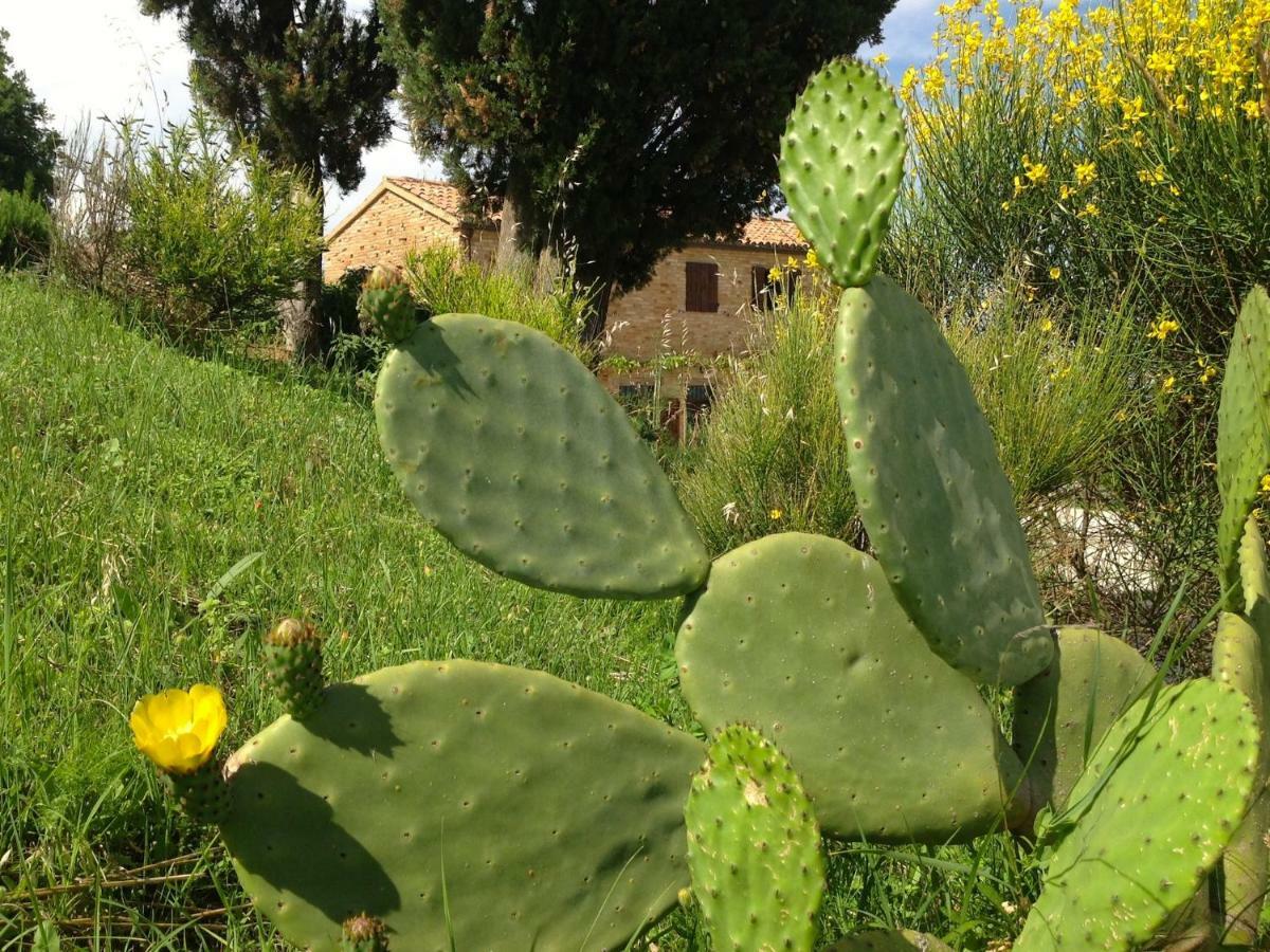L'Infinito Bed and Breakfast Mombaroccio Εξωτερικό φωτογραφία